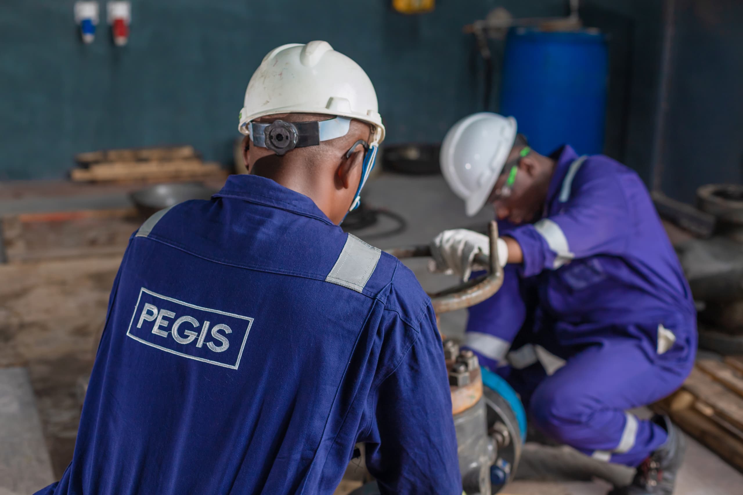 PEGIS Services